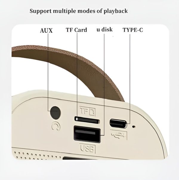 PARLANTE CON MICROFONO