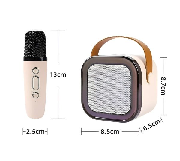 PARLANTE CON MICROFONO